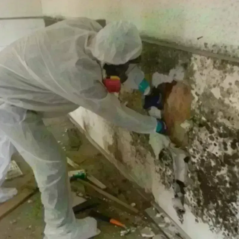 Mold Remediation and Removal in Kirtland, OH